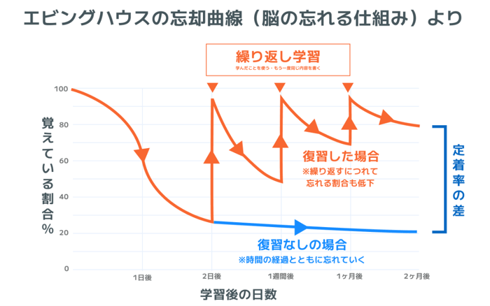 エビングハウスの忘却曲線イメージ