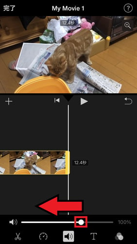 iMovieを使って、iPhoneで動画の音声をカット